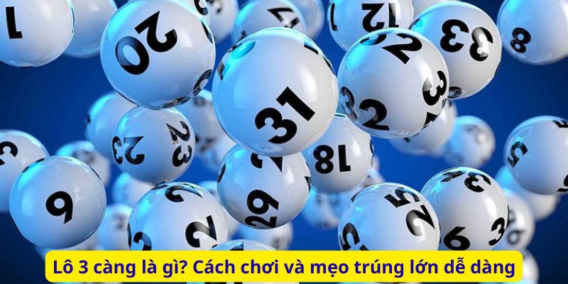Lô 3 càng là gì? Cách chơi và mẹo trúng lớn dễ dàng