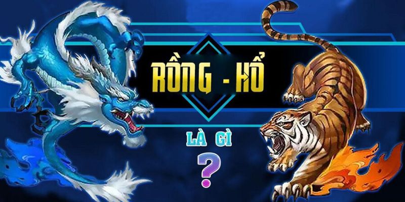 Bongvip - Khám phá game rồng hổ cực đỉnh dành cho anh em